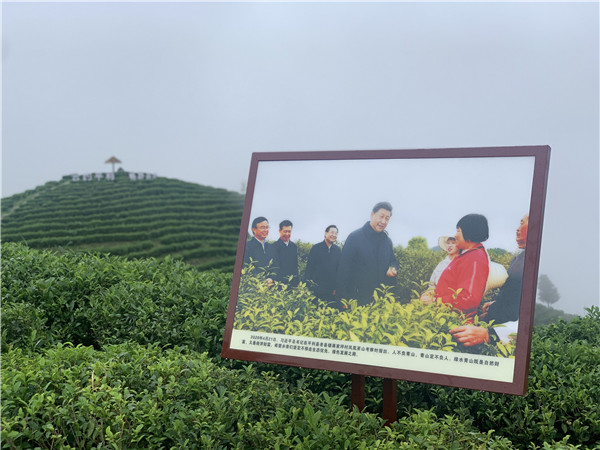 QQ圖片20200814110420.jpg